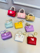 Coin Pouch Keychain (Random colour)